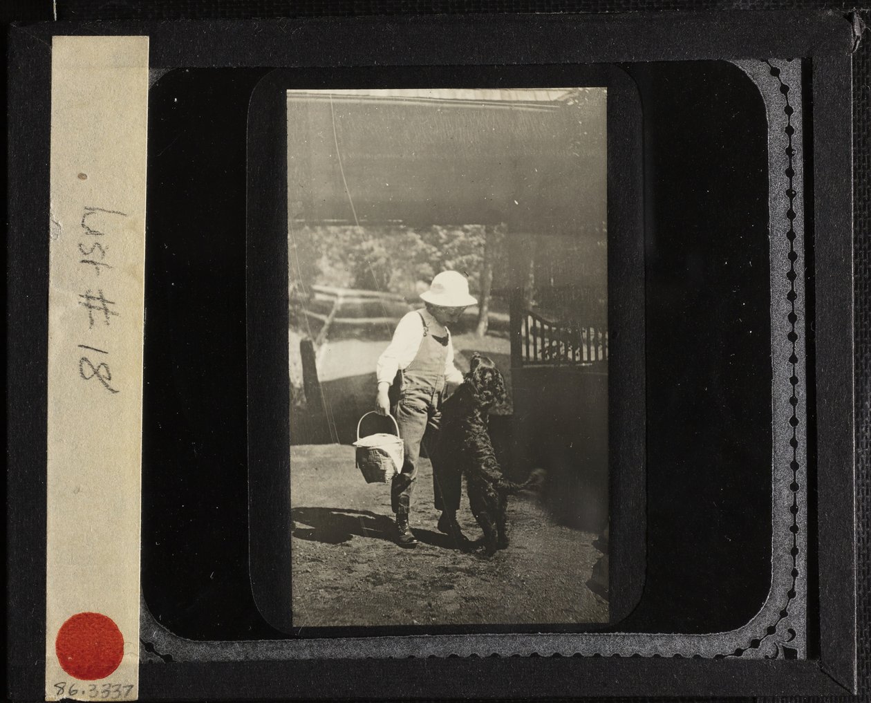 Uden titel niece Elizabeth med Inky i Oaklawn, ca. 1903. af Alfred Stieglitz