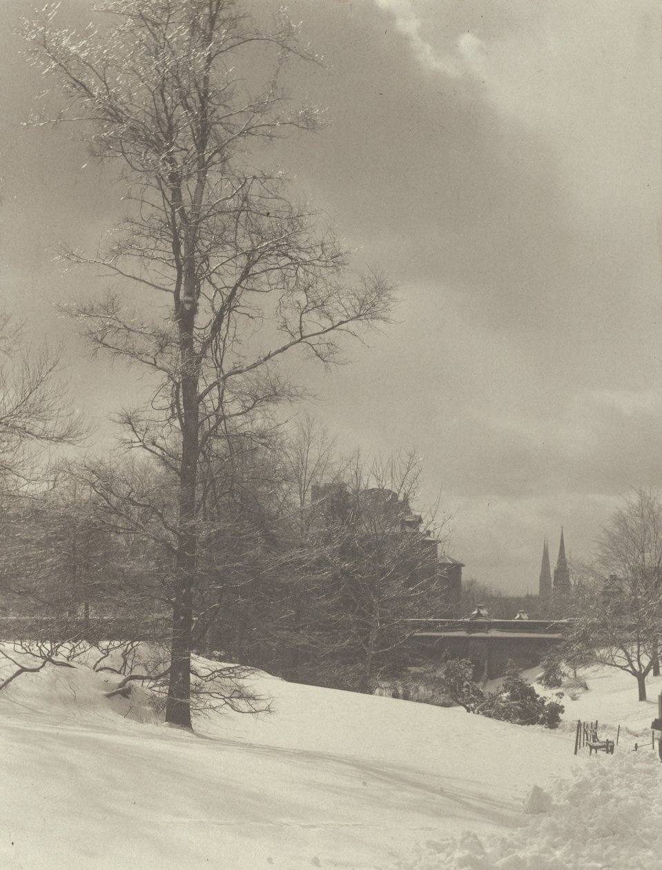 Vinter (Central Park) af Alfred Stieglitz