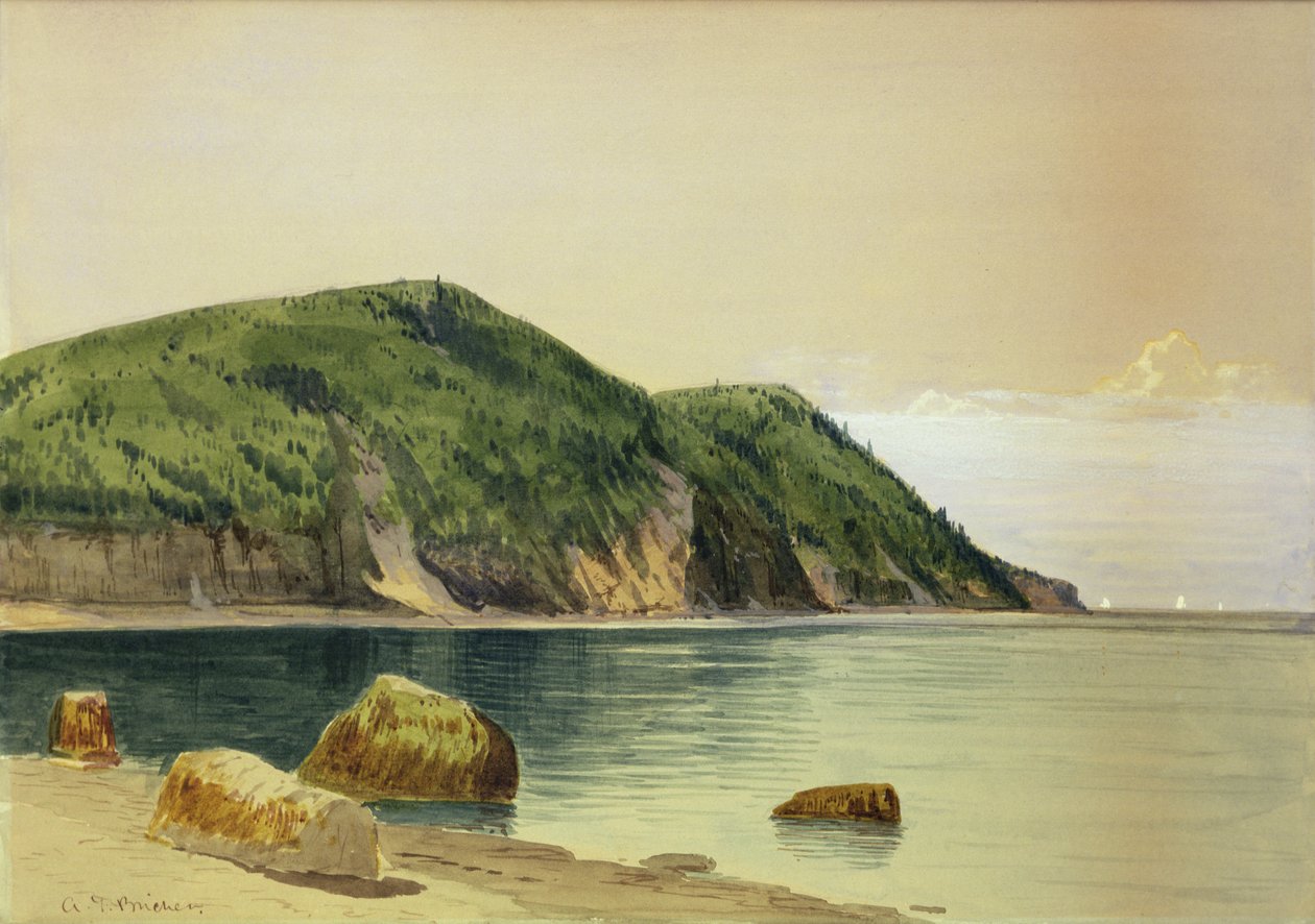 Rocky Shore (akvarel på karton) af Alfred Thompson Bricher