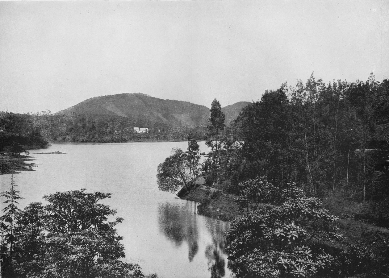 Et hjørne af Nuwara Eliya-søen, c1890, 1910 af Alfred William Amandus Plate