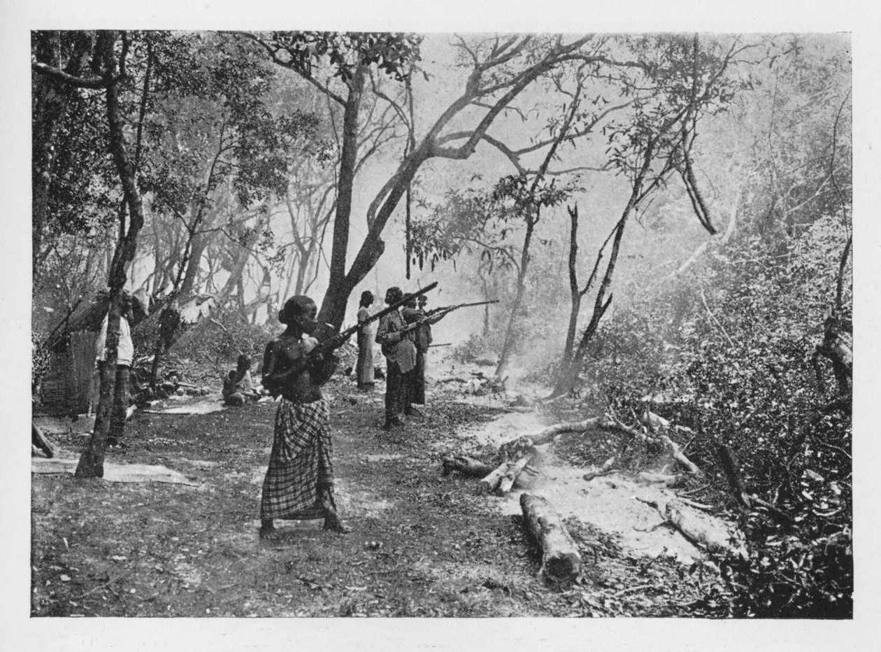 Elephant Kraaling in Ceylon Towards the Stockade, c1890, 1910 af Alfred William Amandus Plate