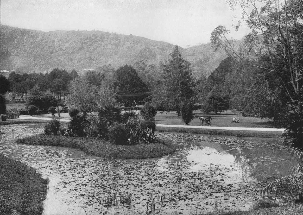 Hakgalla Gardens fra Lotus Pond, Nuwara Eliya, c1890, 1910 af Alfred William Amandus Plate