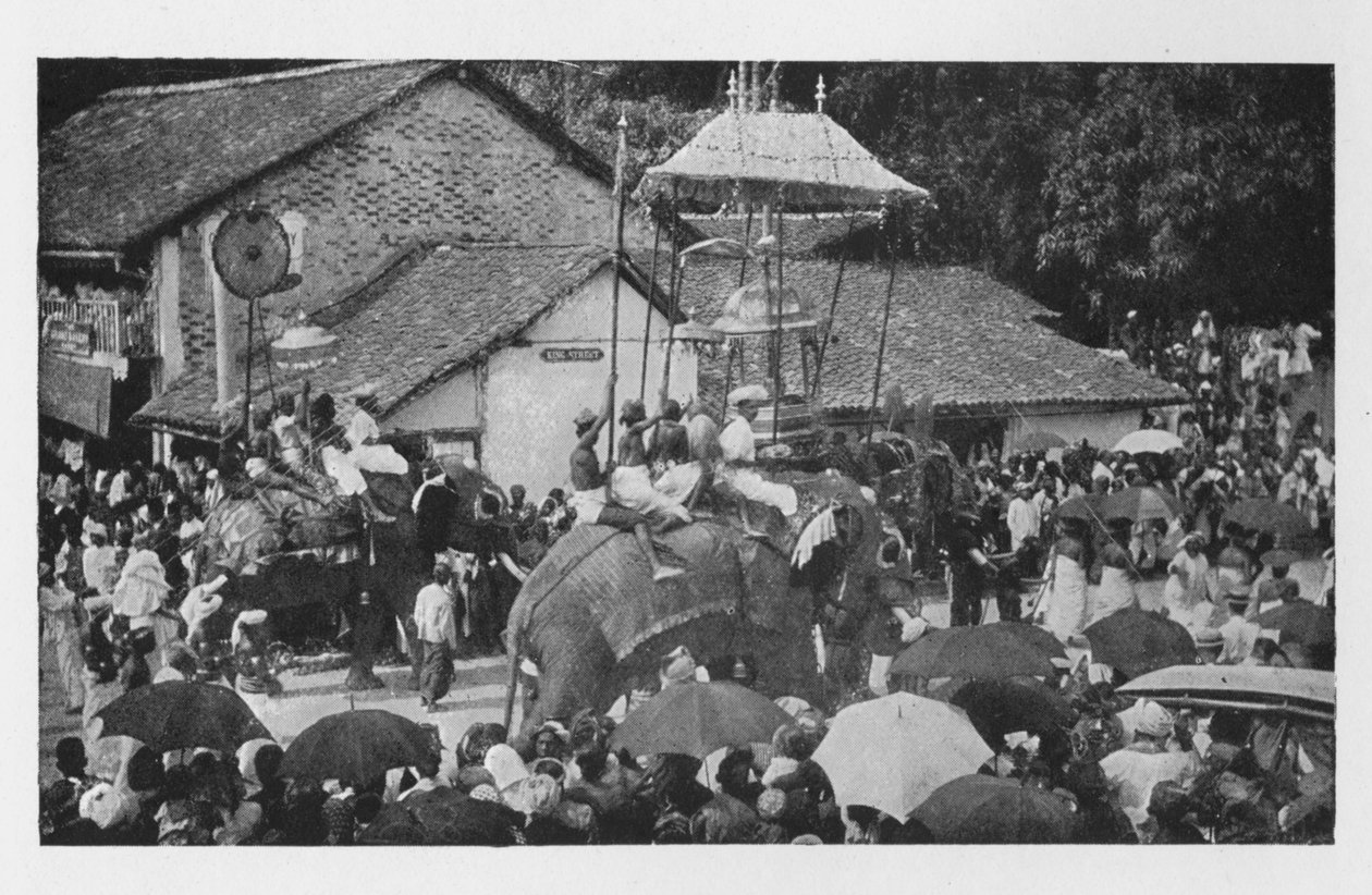 Kandy Perahera. - En procession af elefanter gennemført af Kandyan Chiefs, c1890, 1910 af Alfred William Amandus Plate