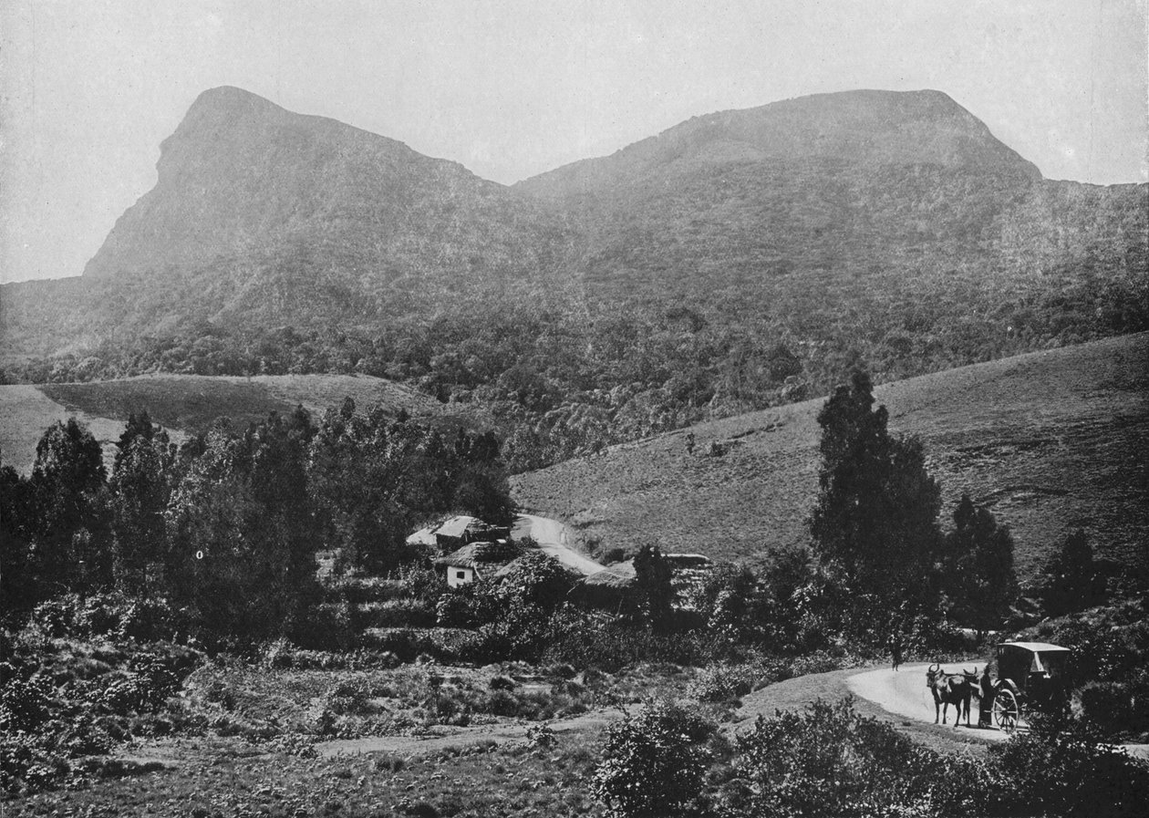 På vej til Hakgalla. Hakgalla Rock in the Distance, c1890, 1910 af Alfred William Amandus Plate