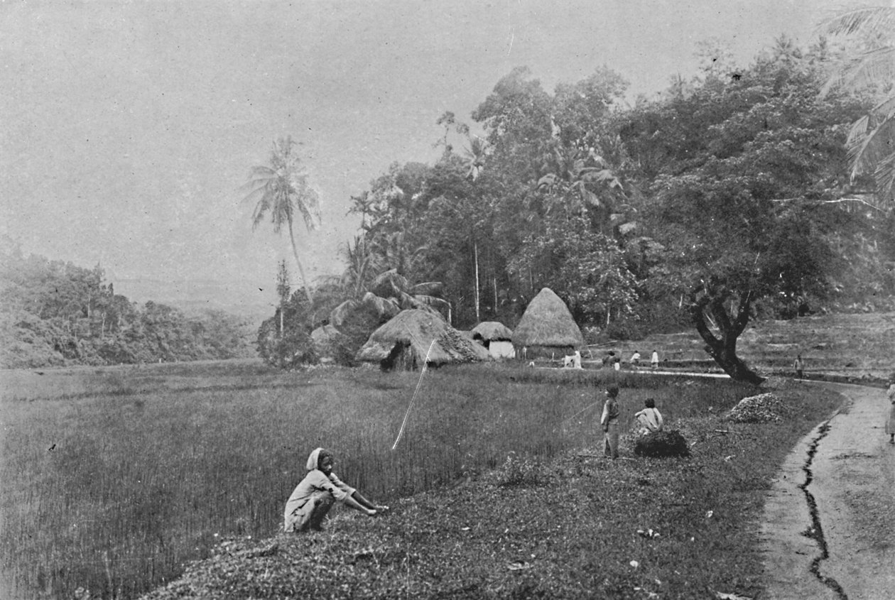Uafskallet nær Gampola, c1890, 1910 af Alfred William Amandus Plate