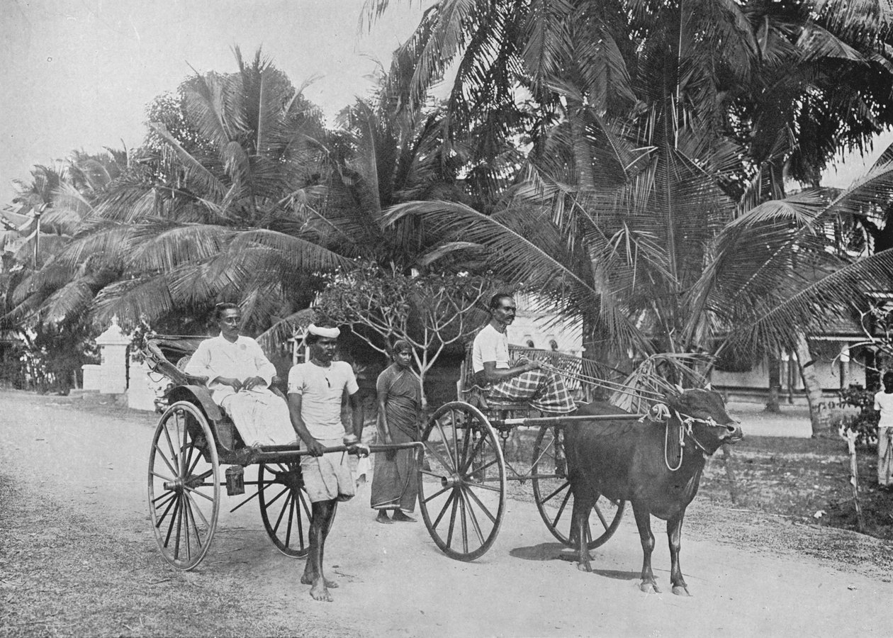 Rickshaw and Racing Hackery, c1890, 1910 af Alfred William Amandus Plate