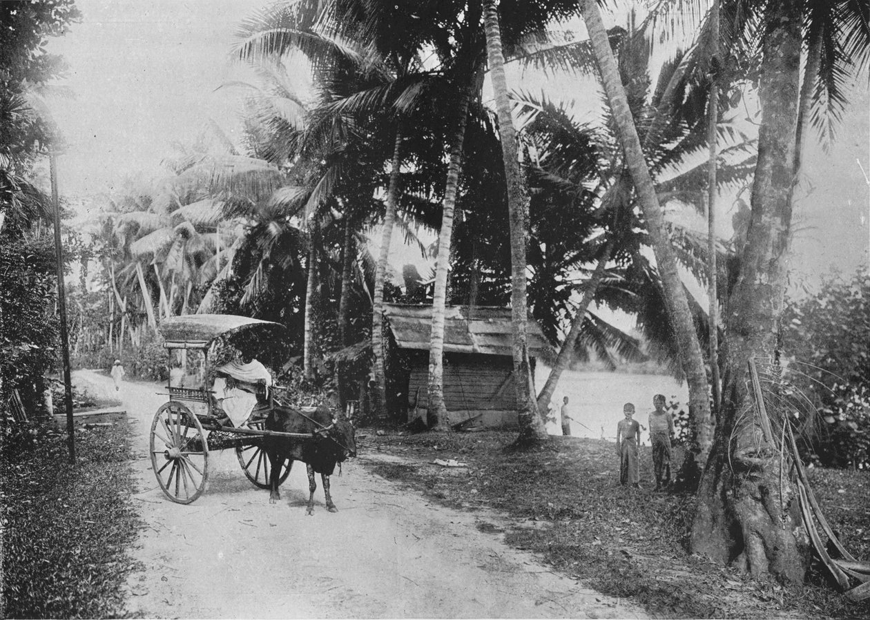 Vej ved siden af Kelaniya-floden, c1890, 1910 af Alfred William Amandus Plate