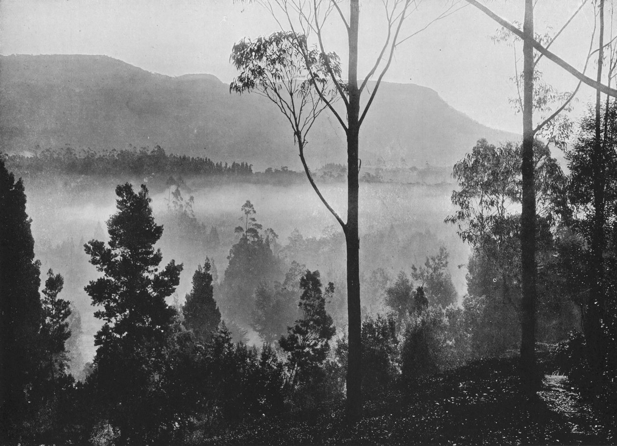The Early Morning Mist Rising at Nuwara Eliya, c1890, 1910 af Alfred William Amandus Plate