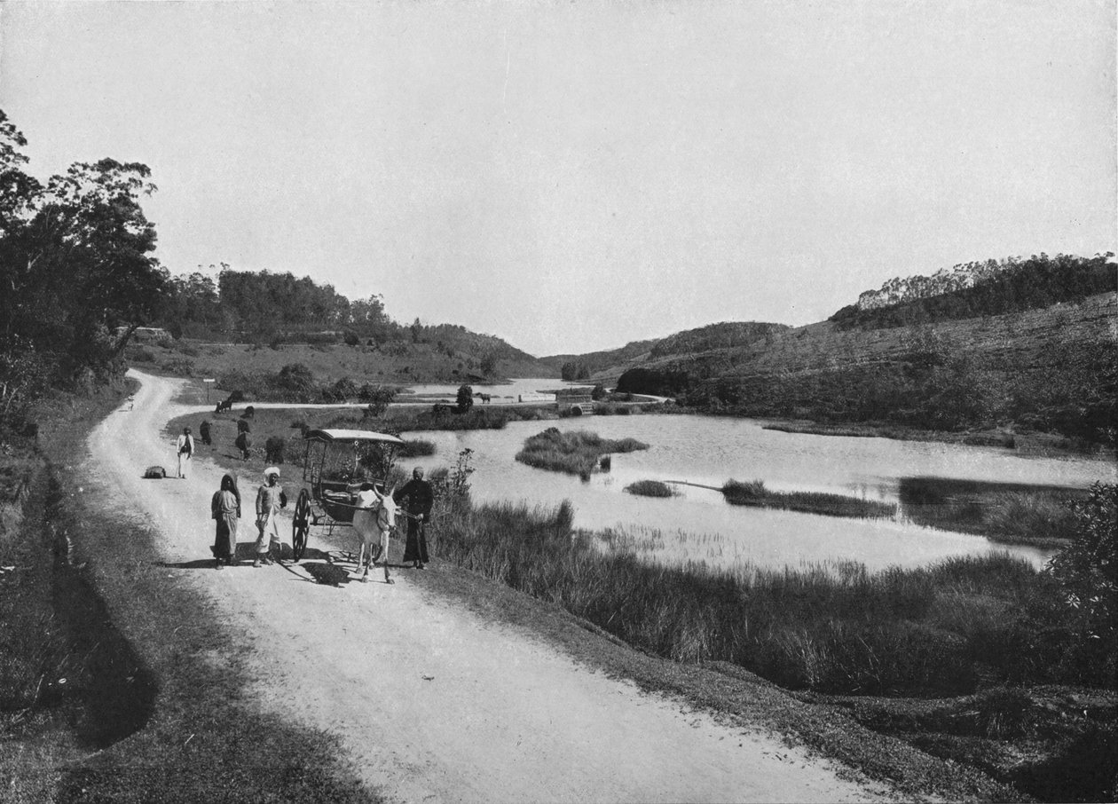 The Moon Plains, Nuwara Eliya, c1890, 1910 af Alfred William Amandus Plate