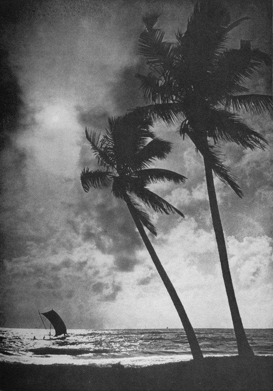 The Palm Fringed Shore ved solnedgang, c1890, 1910 af Alfred William Amandus Plate