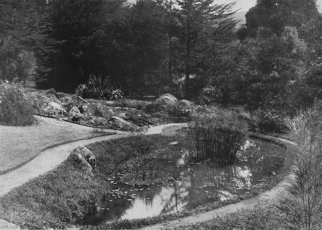 The Rock Garden, Hakgalla Gardens, Nuwara Eliya, c1890, 1910 af Alfred William Amandus Plate