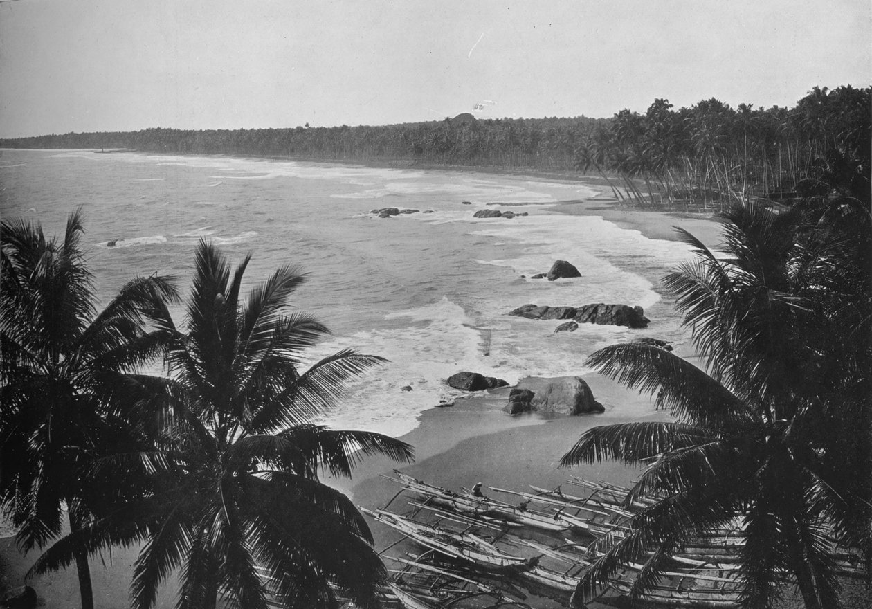 Udsigt fra Mount Lavinia, viser kokospalmer langs kysten, c1890, 1910 af Alfred William Amandus Plate
