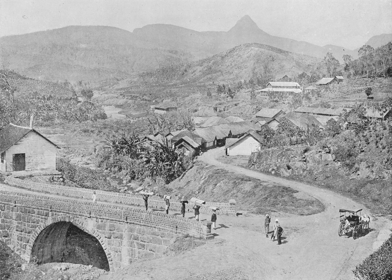 Udsigt over Maskeliya, der viser Adams Peak, c1890, 1910 af Alfred William Amandus Plate