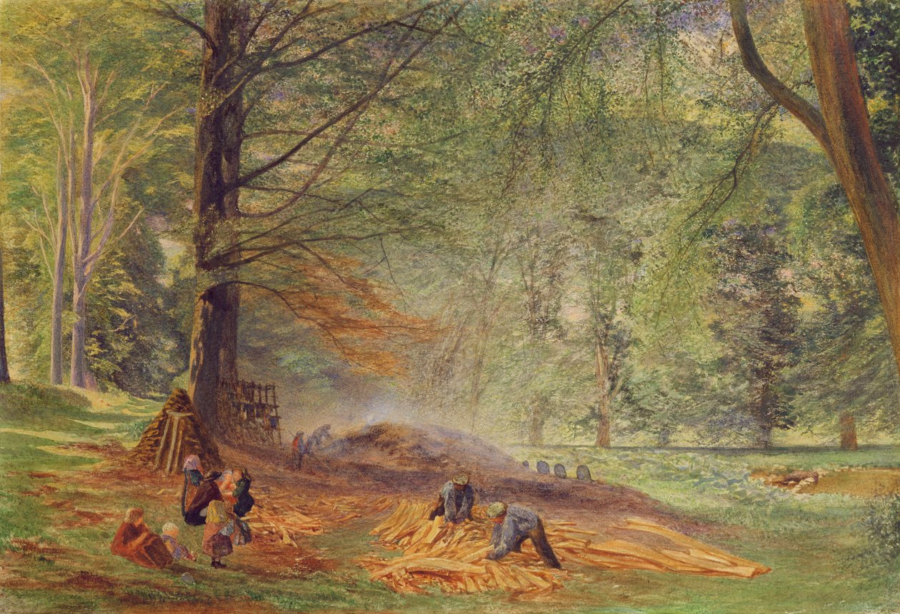 Trækulsbrændere i Rokeby Park (akvarel på papir) af Alfred William Hunt