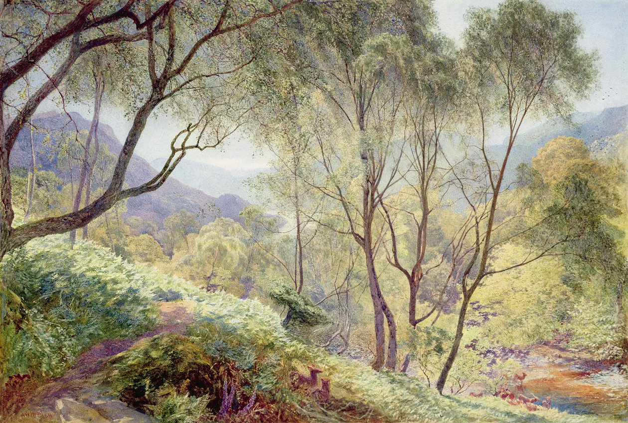 Ullswater fra Gowbarrow Park, 1864 af Alfred William Hunt