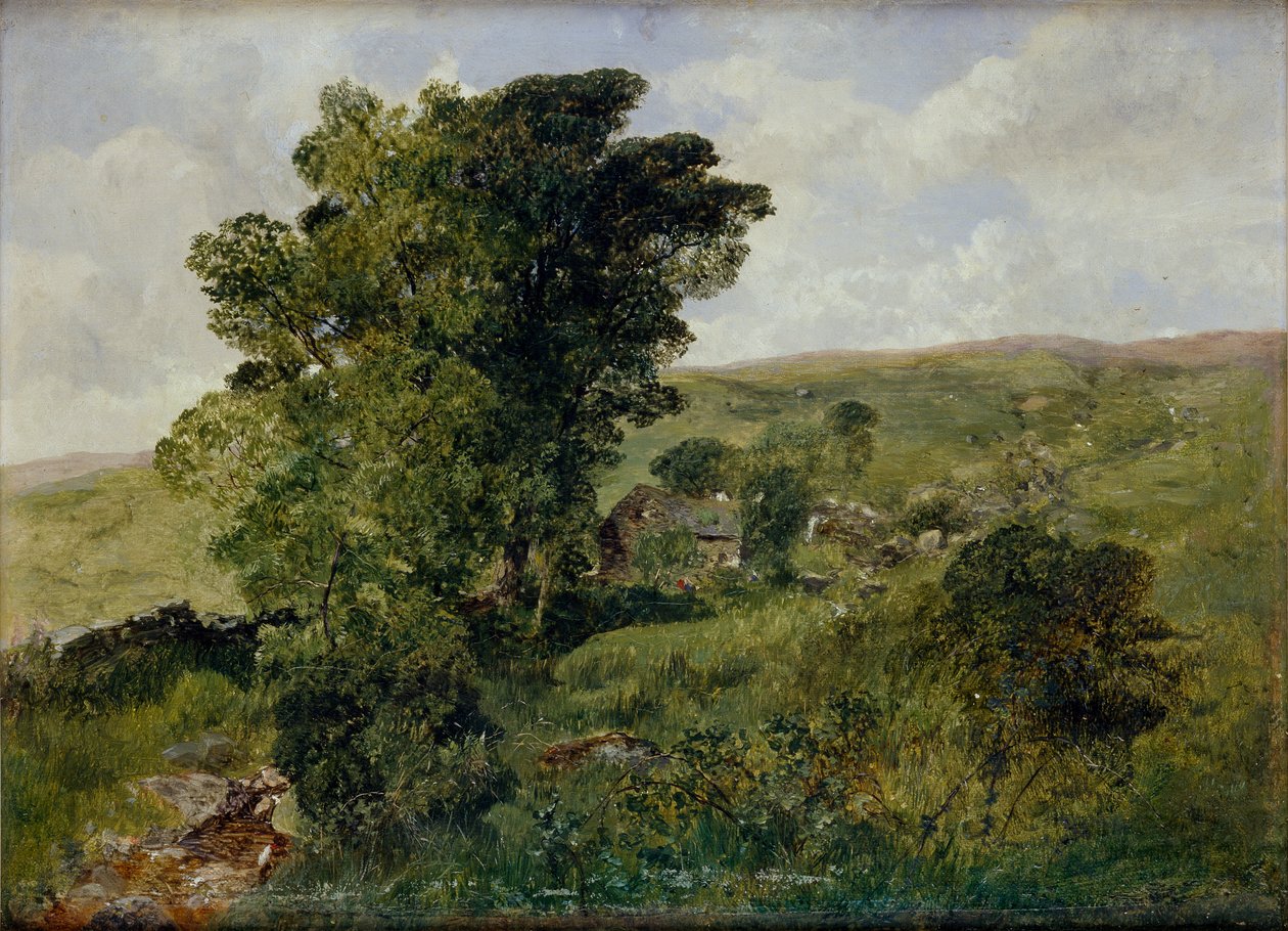 Udsigt over Nantlle, Caernarvonshire, 1855 af Alfred William Hunt