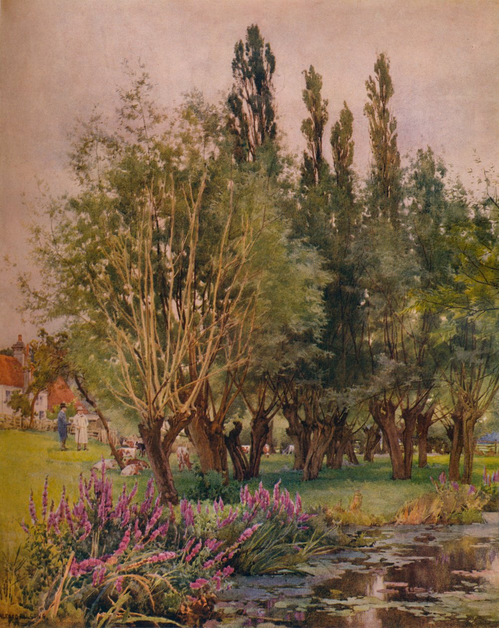 Purple Loosestrife, c1891 af Alfred William Parsons