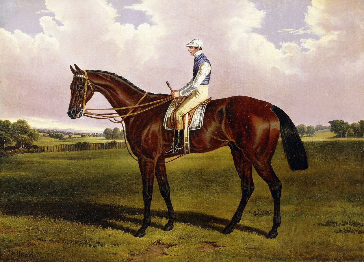Bloomsbury, A Chestnut Racehorse med Sam Templeman oppe, i et Landskab, af Alfred de Prades