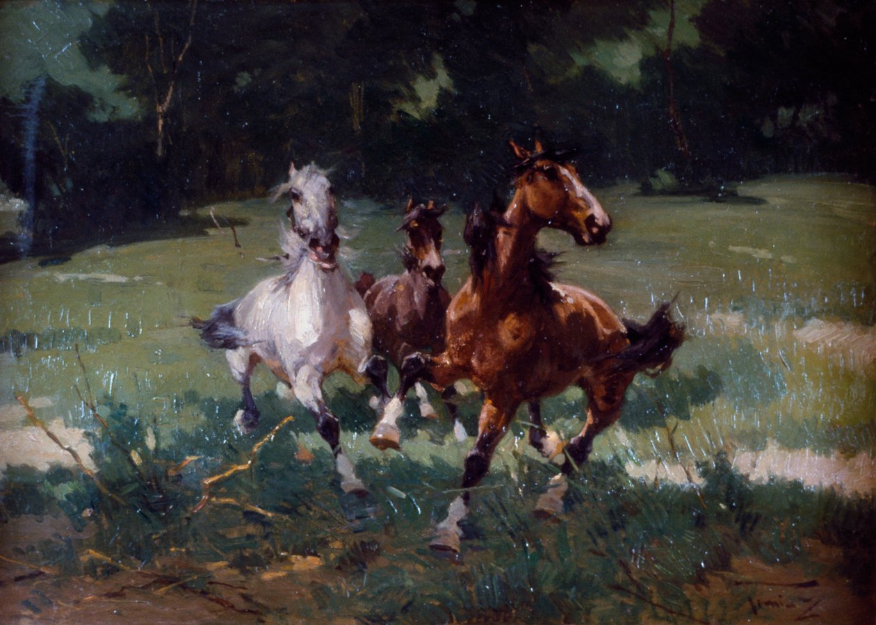 Running Horses, maleri af Alfredo Tominz (1854-1936), olie på pap, 67x48 cm, Italien af Alfredo Tominz