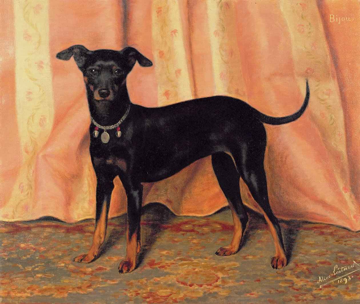 Studie af Bijou, en Bichon Terrier, 1893 af Alice Leotard