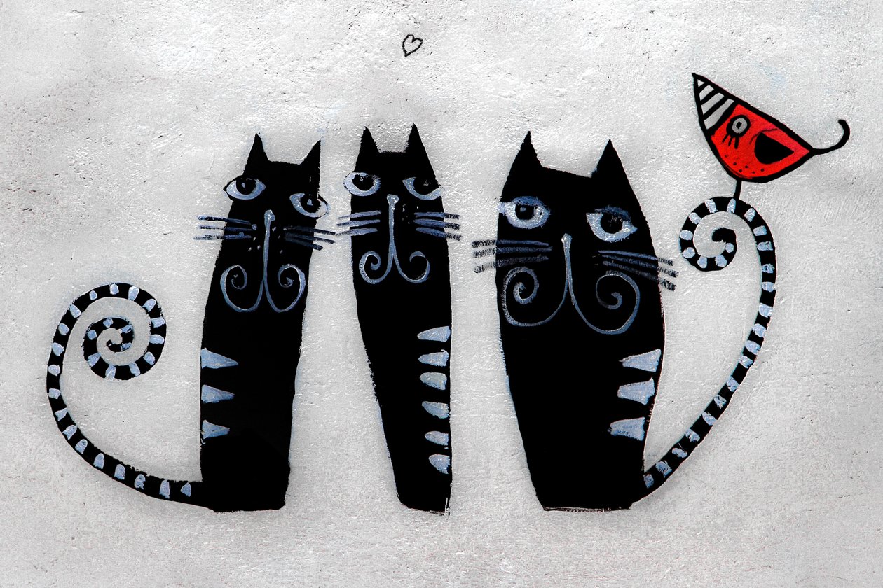 3 katte fra Krakow, 2019 (fotografi) af Alice Gur-Arie