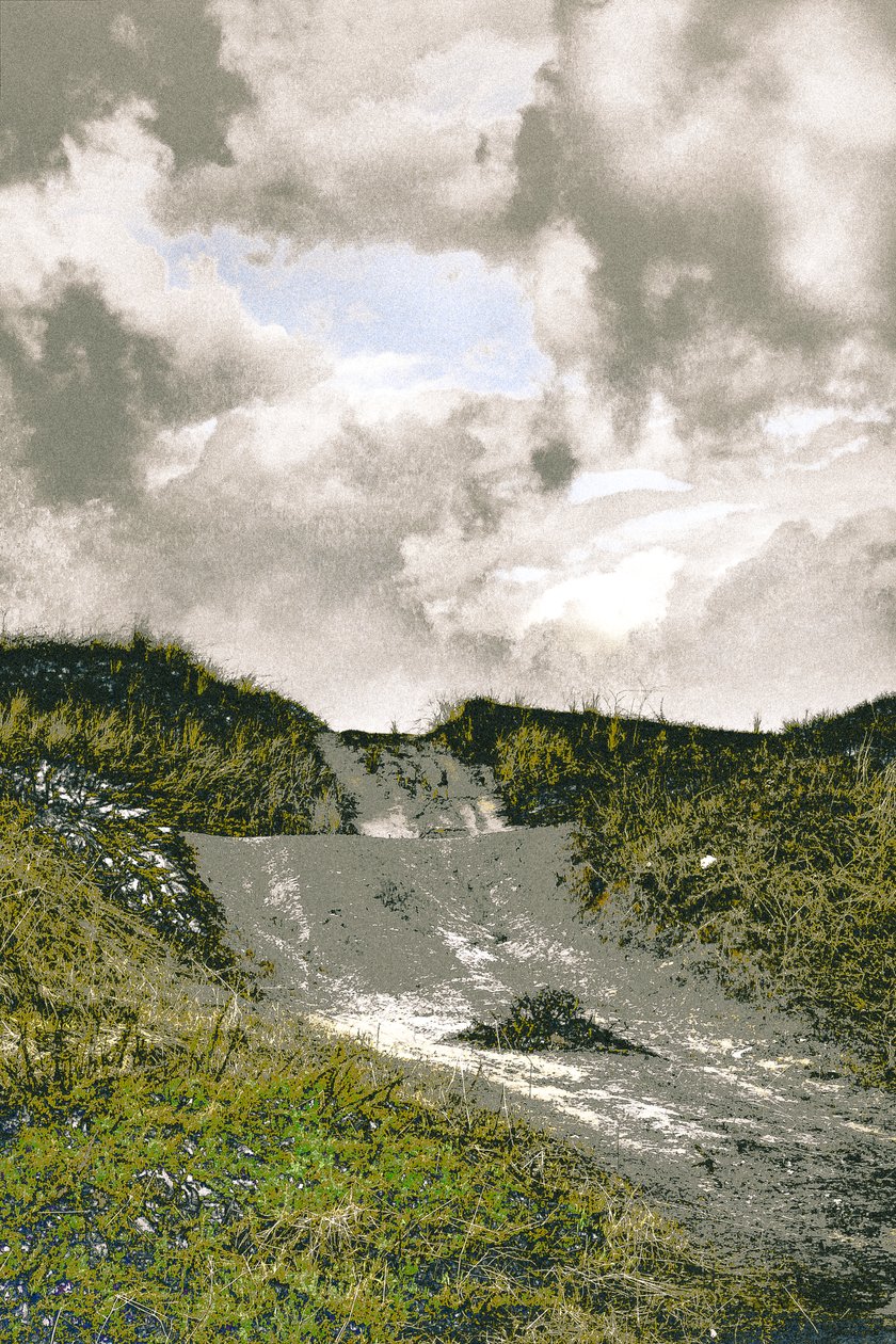 Beach Path, 2018 (håndmalet fotografi) af Alice Gur-Arie