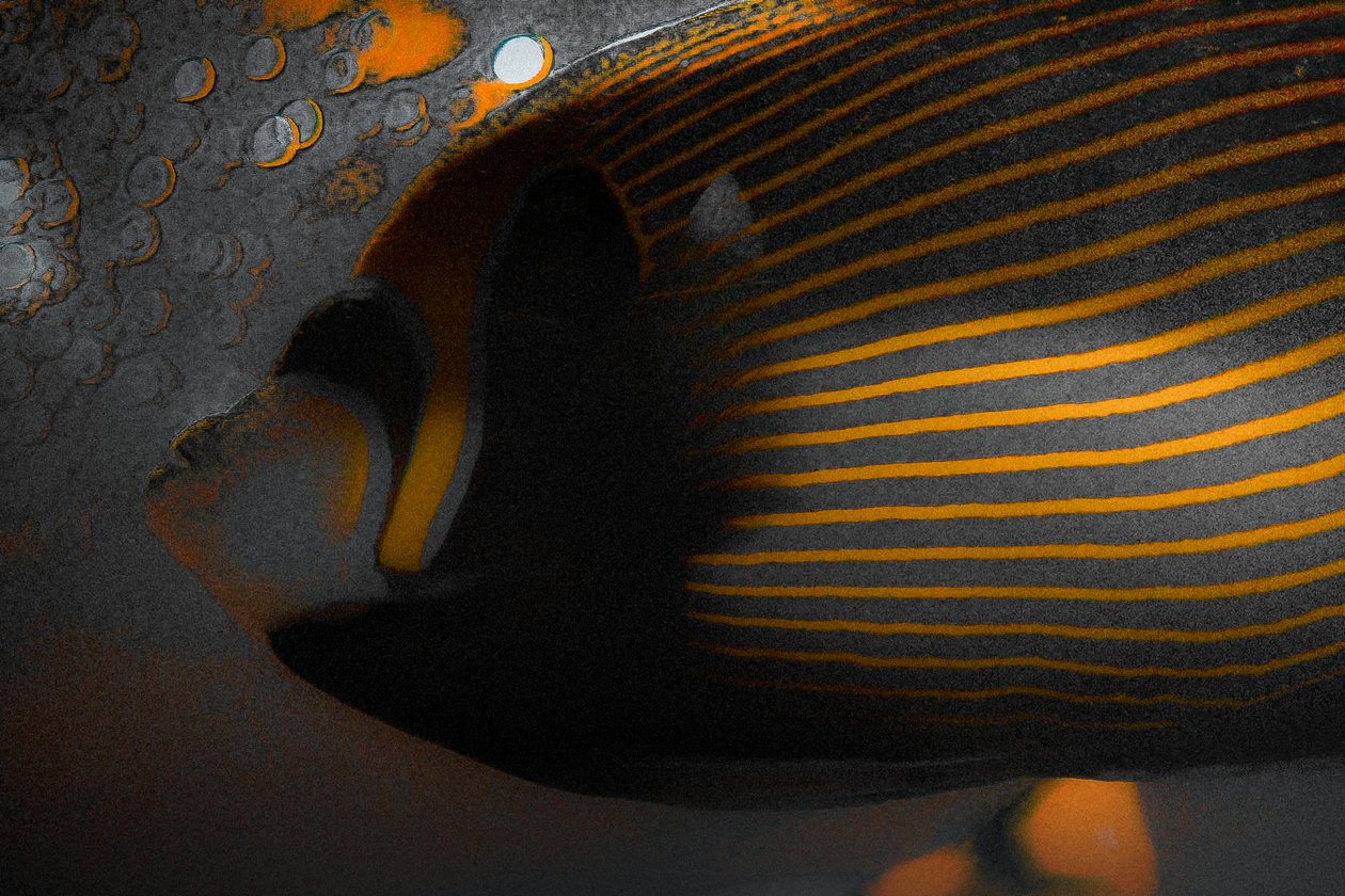 Bubbles and Stripes, 2018 (håndmalet fotografi) af Alice Gur Arie