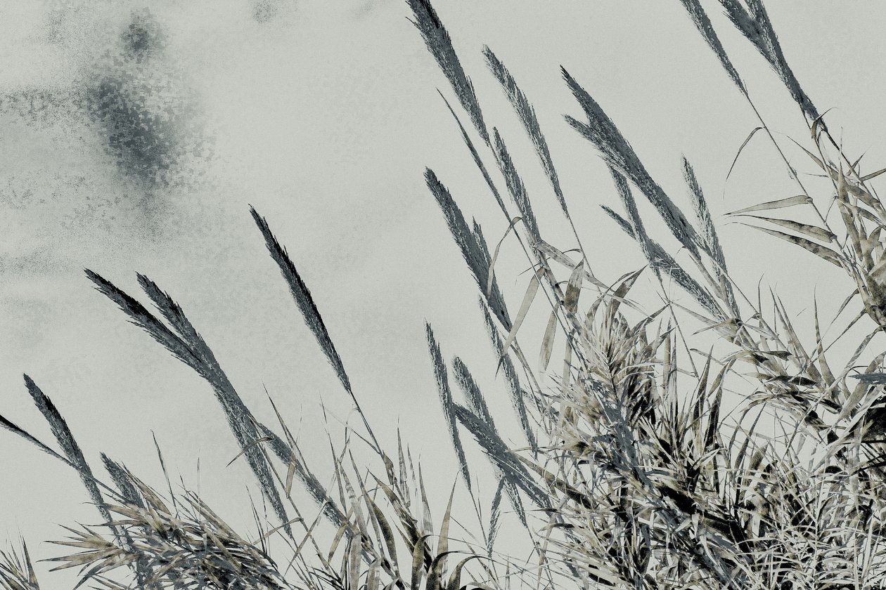 Harvest, 2017 (håndmalet fotografi) af Alice Gur-Arie