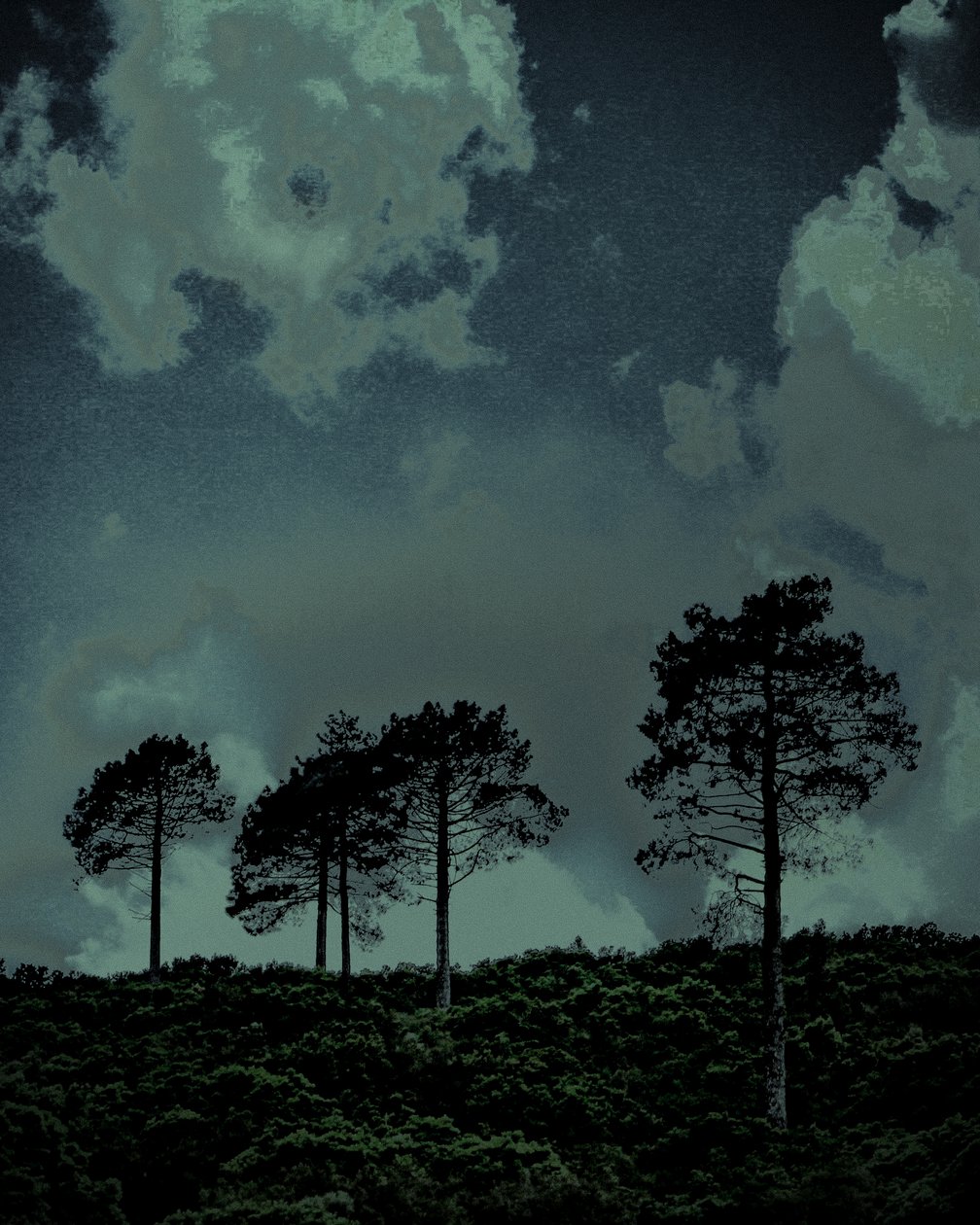 Last Light, 2018 (håndmalet fotografi) af Alice Gur-Arie