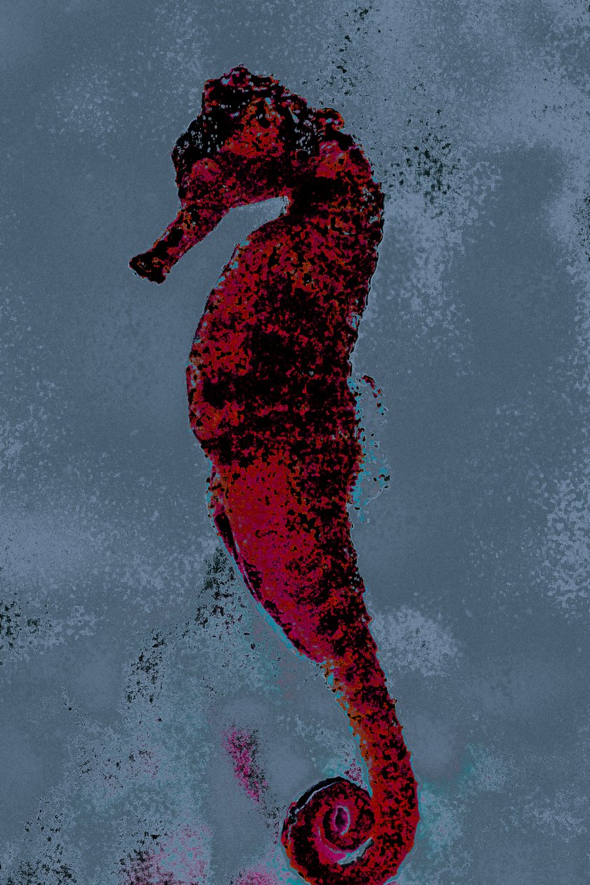 Seahorse, 2018 (håndmalet fotografi) af Alice Gur Arie