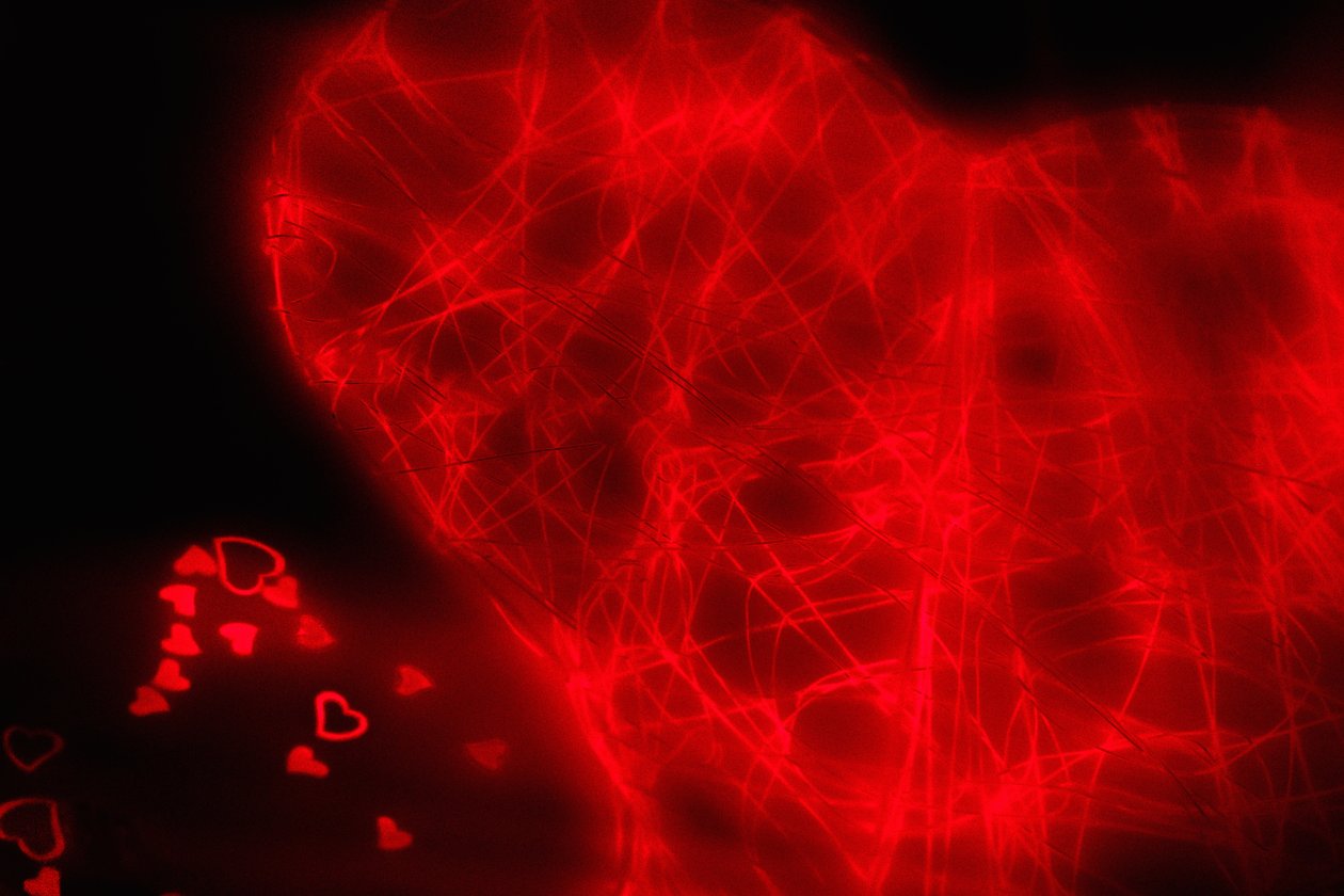 Tangled Heart, fra serien Hearts, 2016 (fotografi) af Alice Gur-Arie