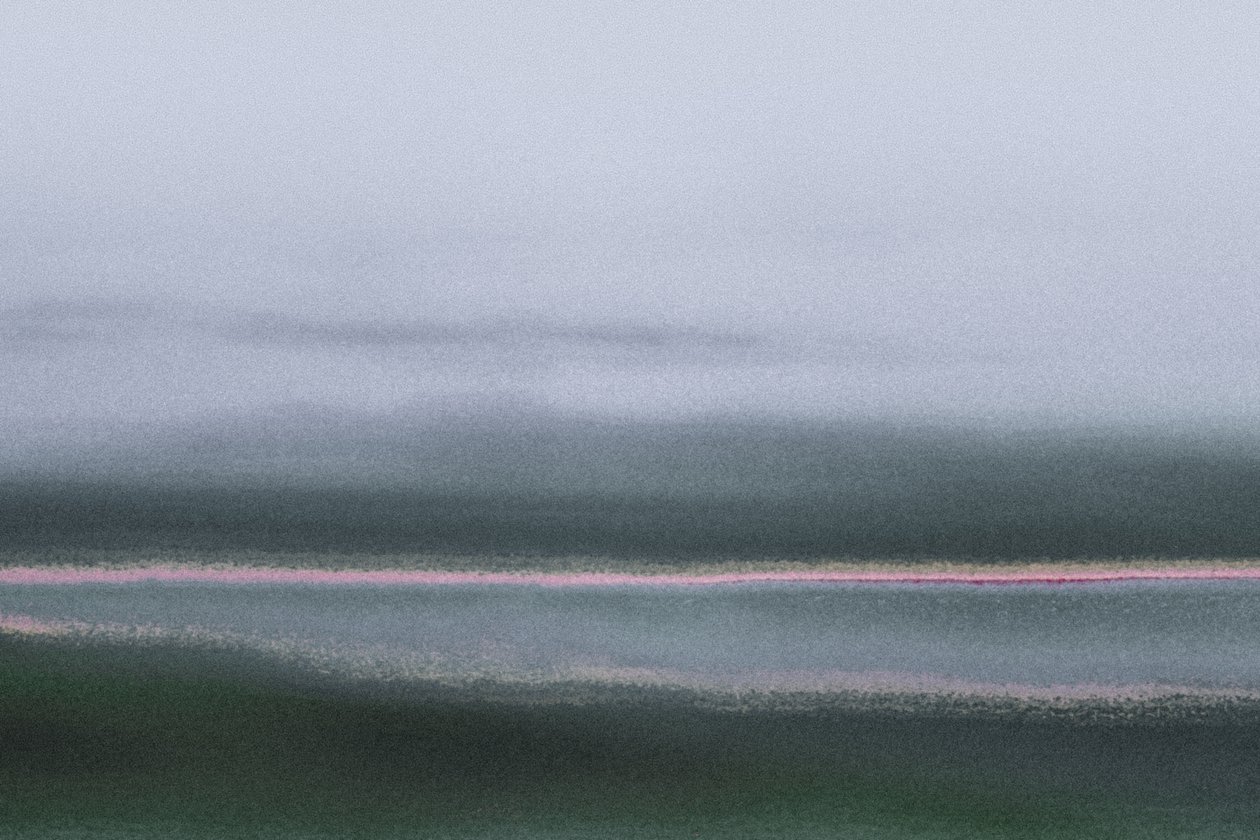 Verdant, fra serien Conyer Reach, 2020 (håndmalet fotografi) af Alice Gur Arie