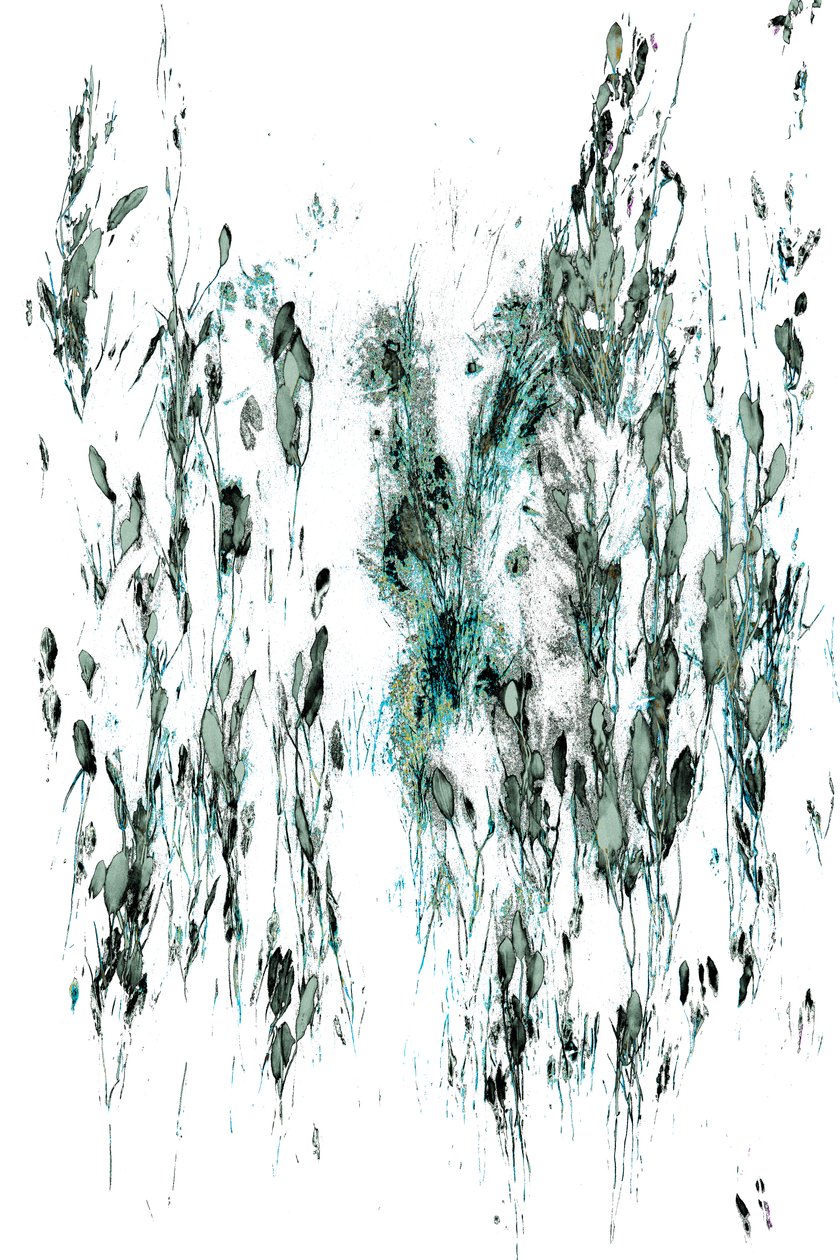 Whispers of the Stream, 2017 (håndmalet fotografi) af Alice Gur Arie