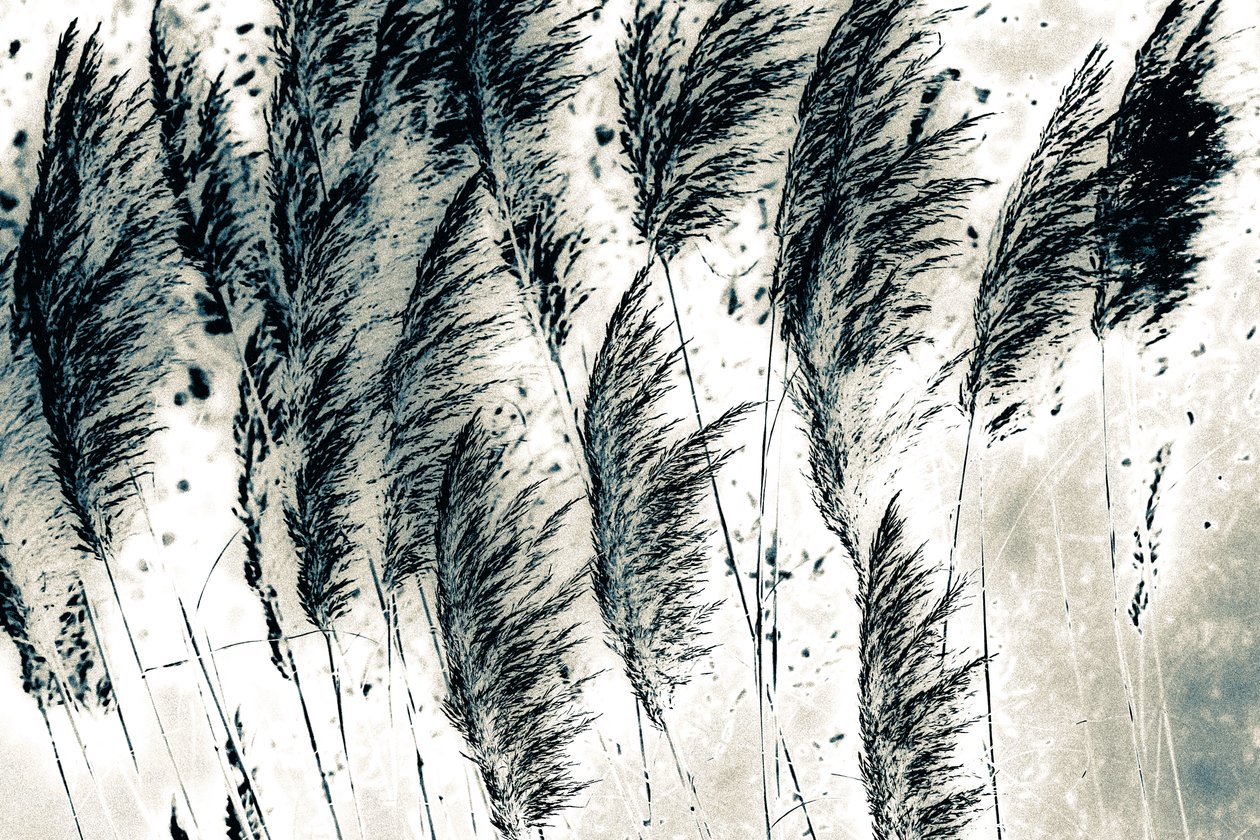 Wind from the West, 2016 (håndmalet fotografi) af Alice Gur Arie