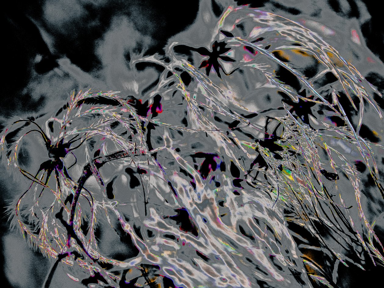 Countryfile, 2015 (fotografi) af Alice Gur Arie