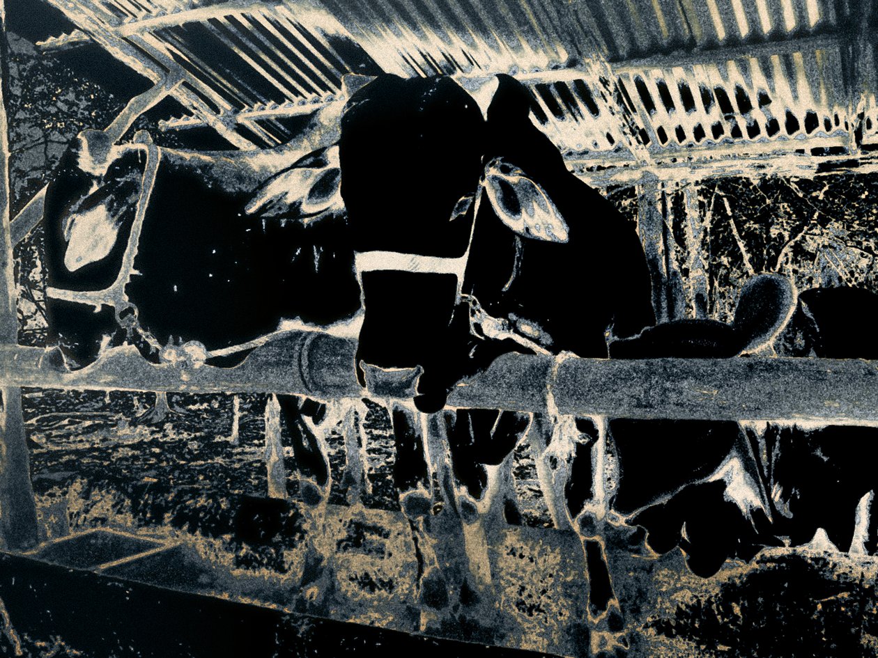 Homestead, 2020 (malet fotografi) af Alice Gur Arie
