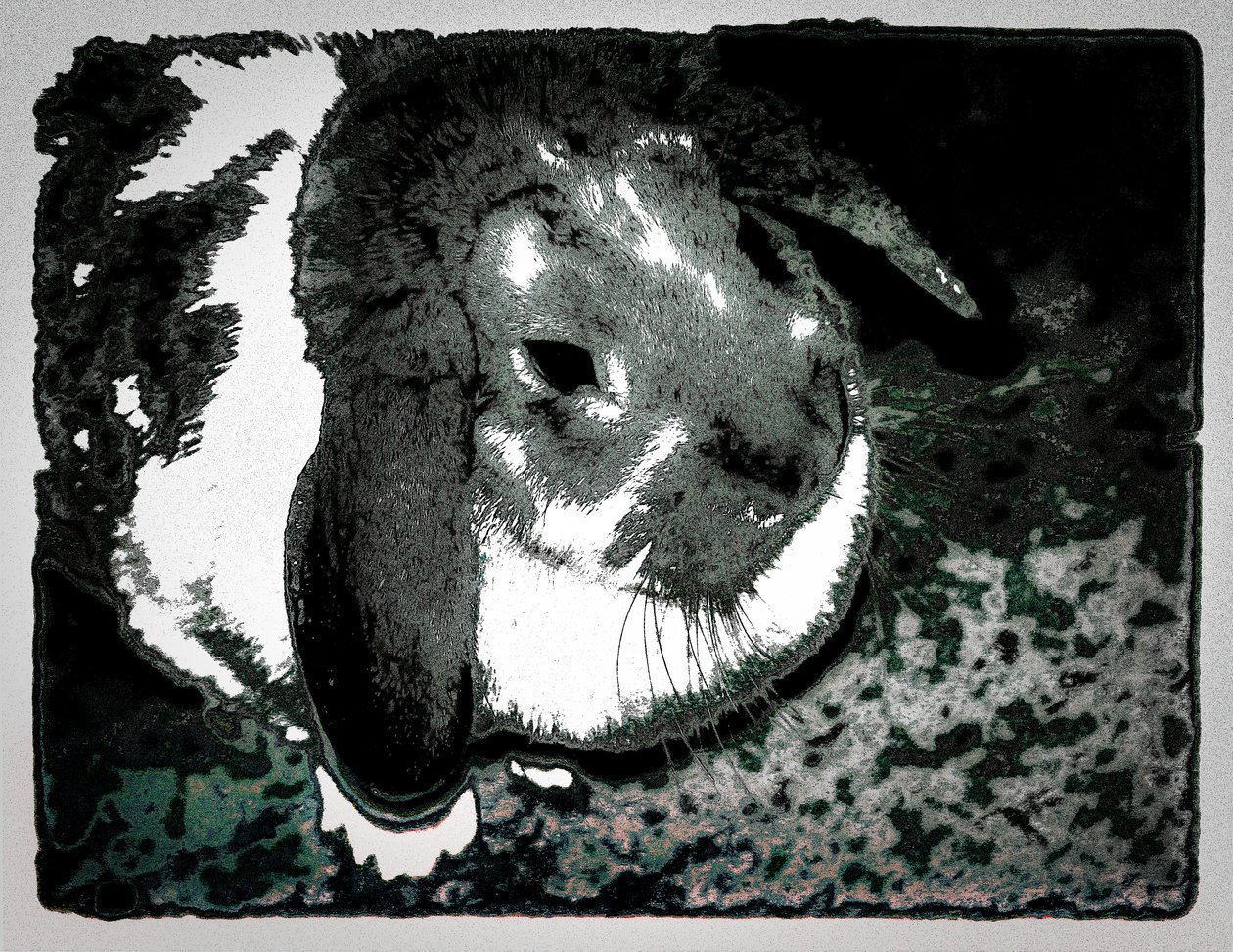 Rabbit Habbits, 2022 (overmalet fotografi) af Alice Gur Arie
