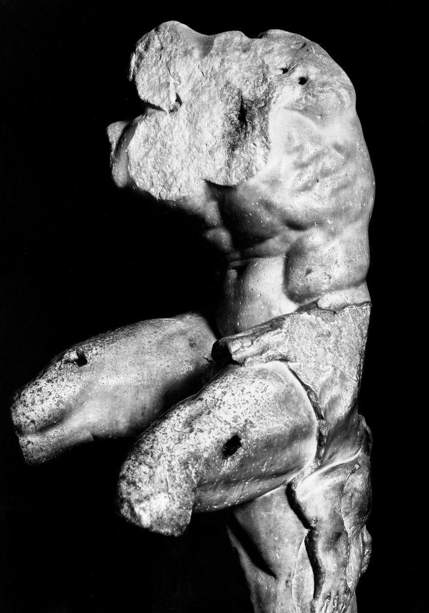 The Belvedere Torso af Apollonios af Nestor, ca. 1890 (s/h-foto) af Fratelli Alinari