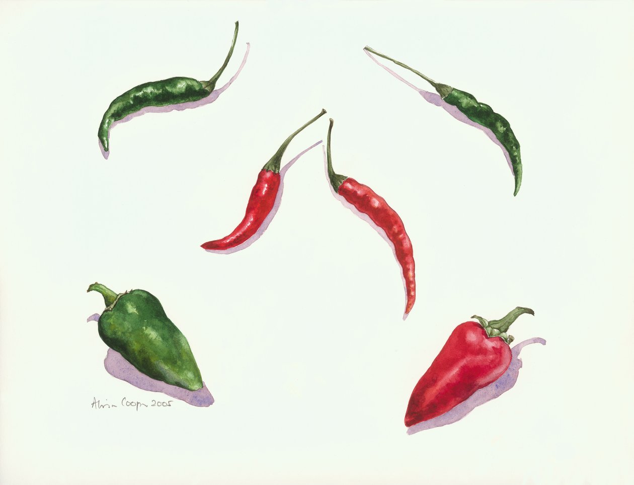 Chillies og peberfrugter, 2005 af Alison Cooper