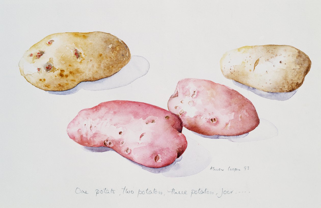 Kartoffelundersøgelse, 1993 af Alison Cooper
