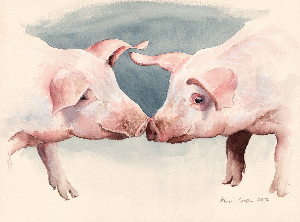 To små grise, 2012 af Alison Cooper