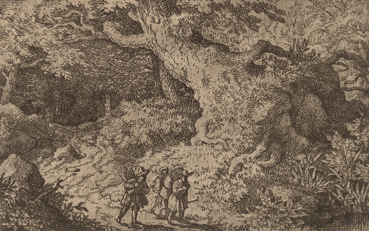 En tyk skov, sandsynligvis c. 16451656. af Allart van Everdingen