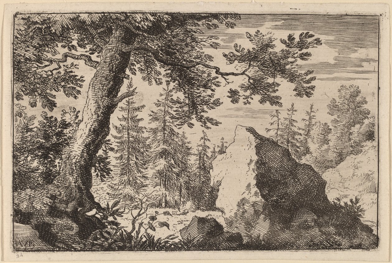 Boulder i skoven af Allart van Everdingen