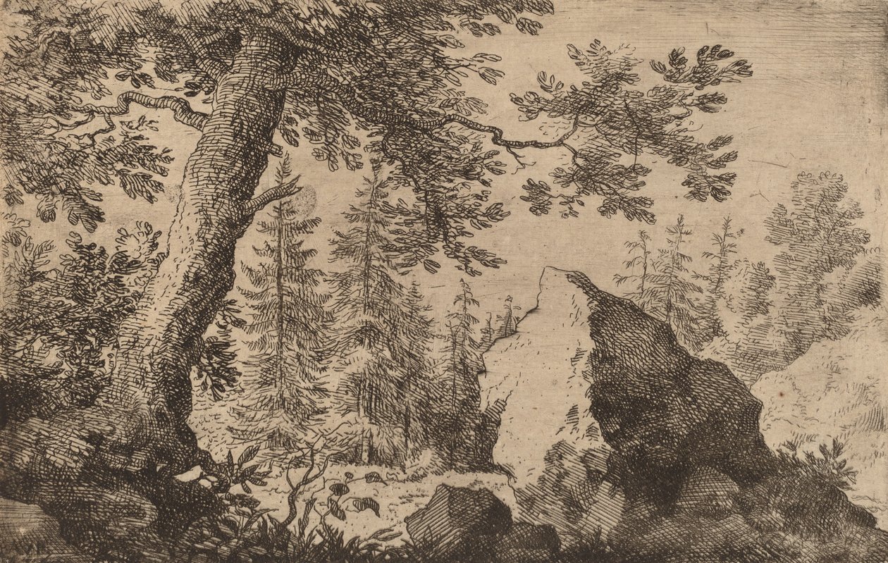 Boulder in the Woods, sandsynligvis ca. 16451656. af Allart van Everdingen