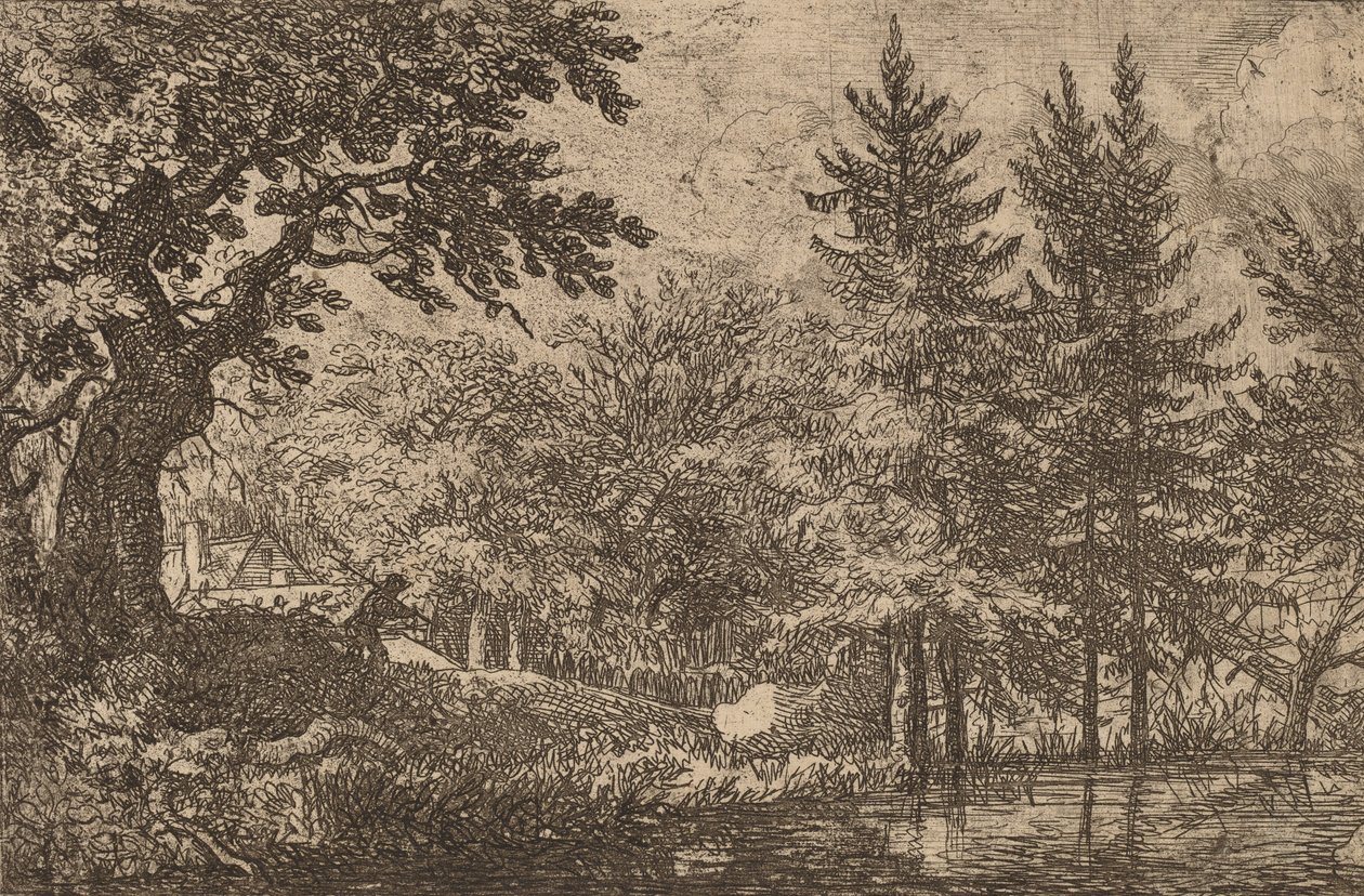 Grantræer ved vandet, sandsynligvis ca. 16451656. af Allart van Everdingen