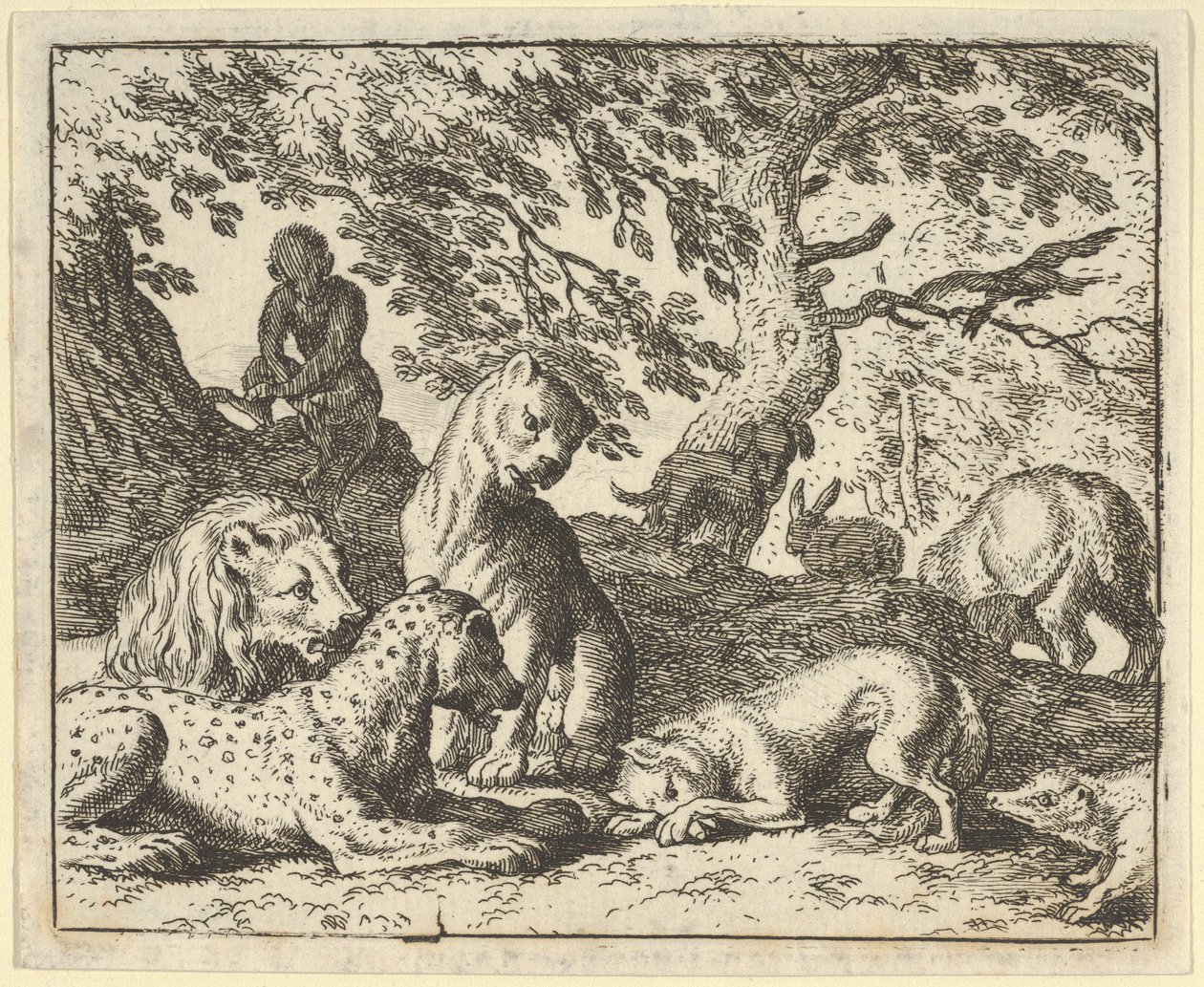 Renard anklager falsk sin far for at have konspireret mod løven, 1650-75. af Allart van Everdingen