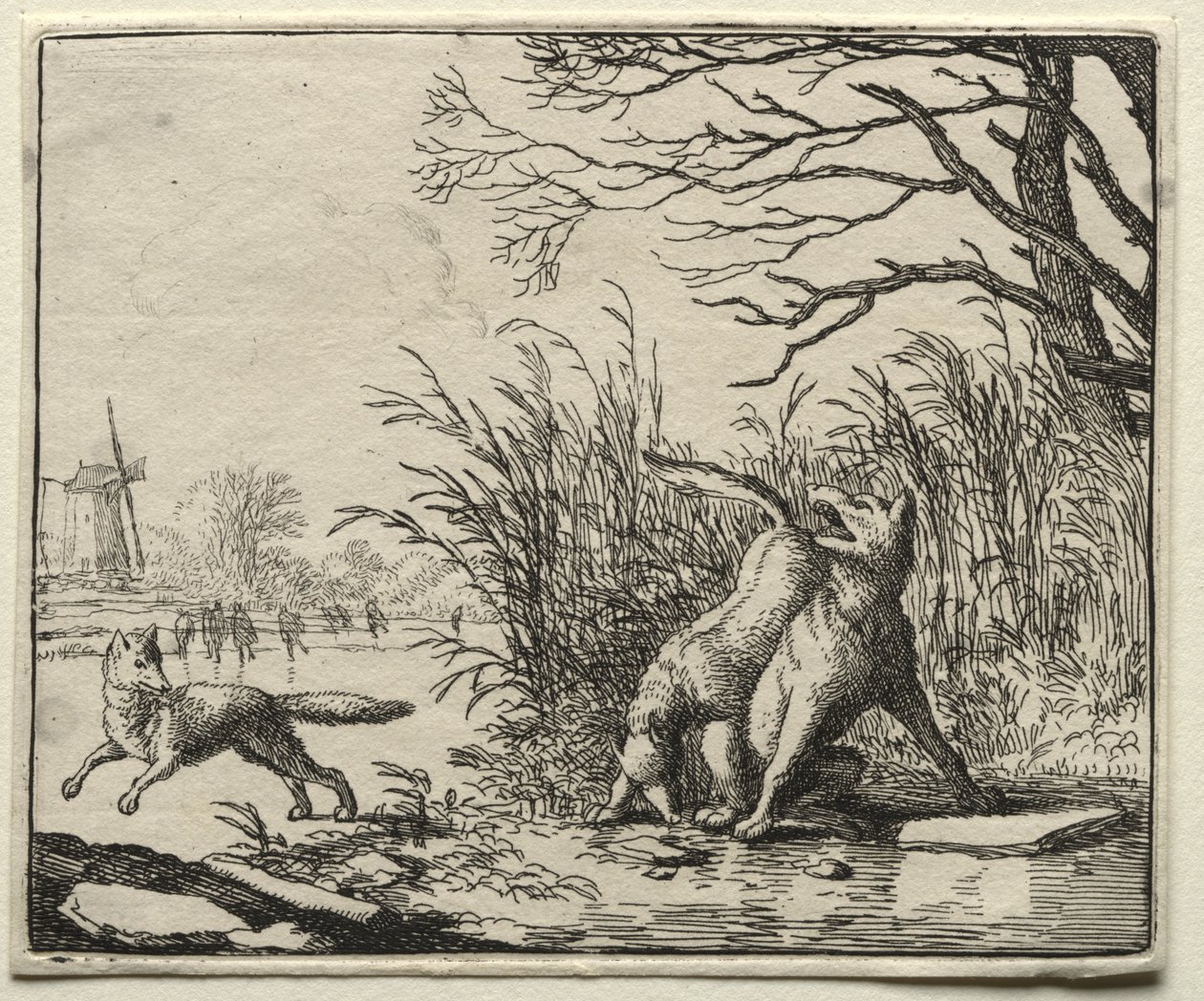 Reynard the Fox: A New Accusation by the Wolf af Allart van Everdingen