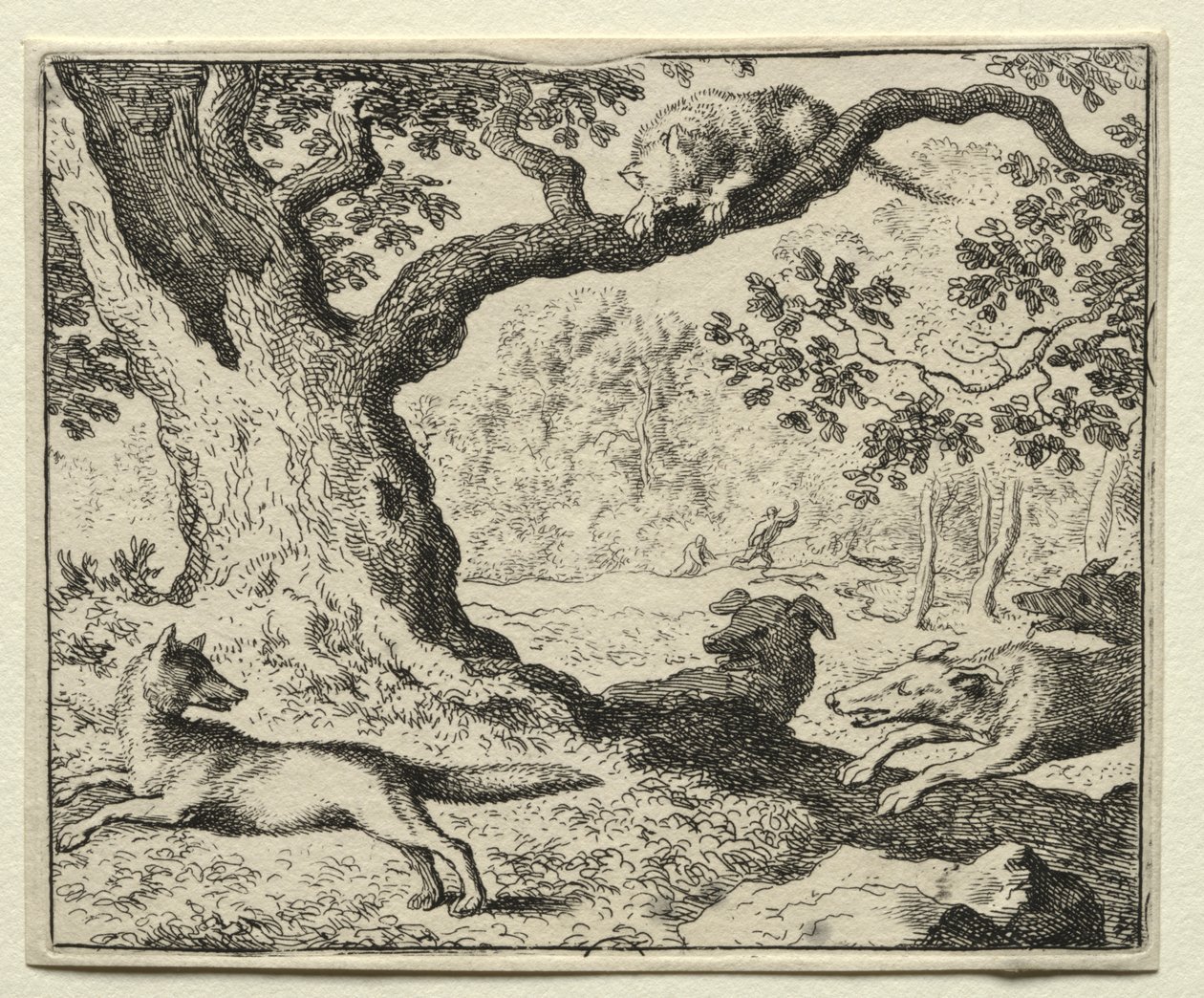 Reynard the Fox: Den illoyale kat af Allart van Everdingen