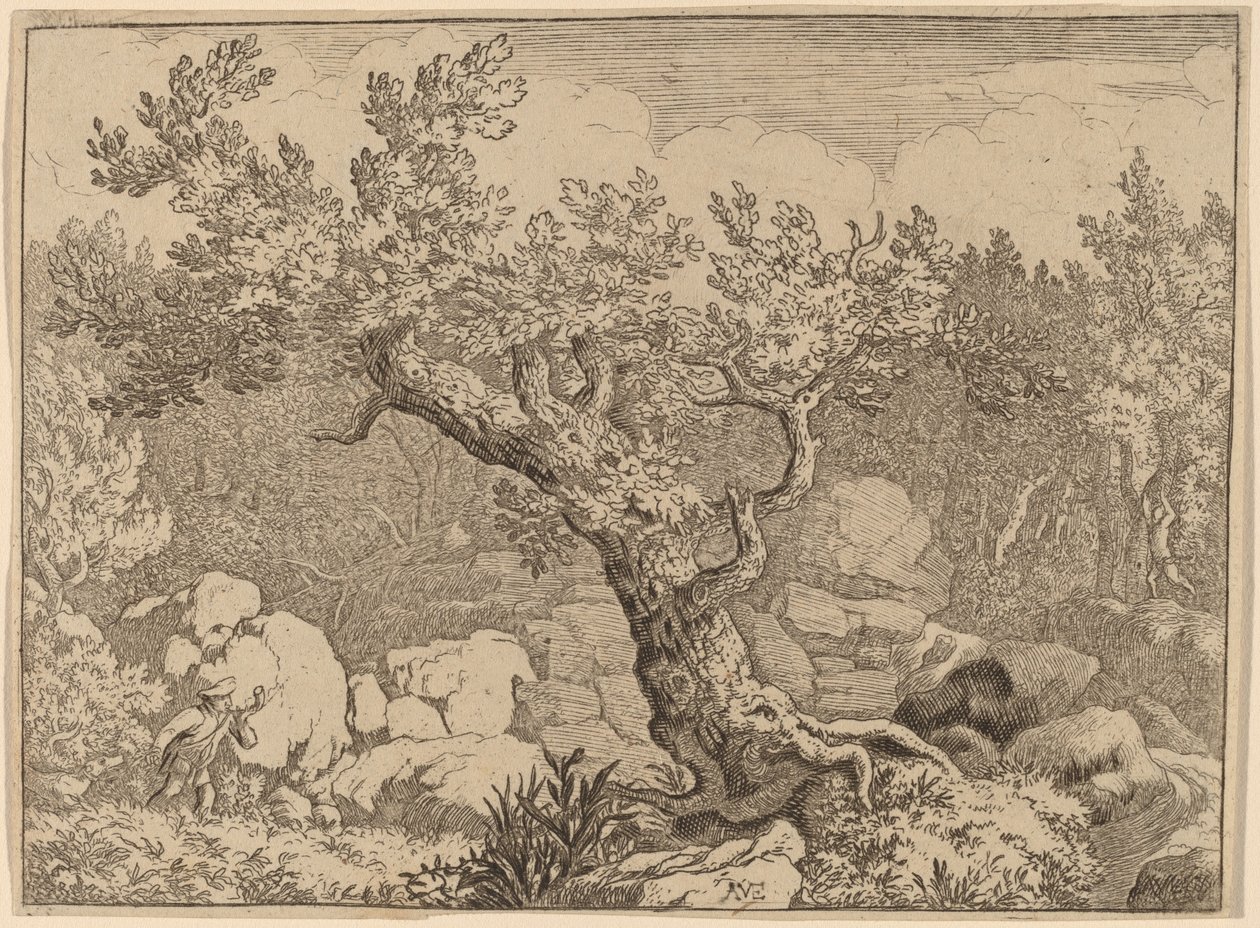 Sportsmand nær et stort træ, sandsynligvis ca. 16451656. af Allart van Everdingen