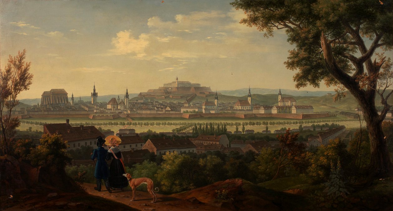 Brno med Spielberg af Alois von Saar